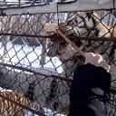 ���� �����, ��������� - ��������� 22 ���� 2015 � ������ ���� ����������