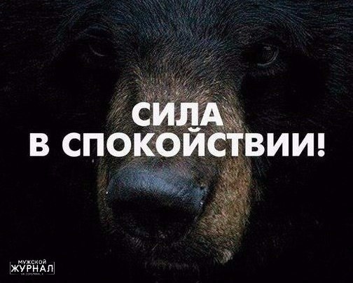 ������ - 1 �������� 2015 � 15:10