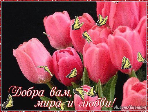������� - 12 ��� 2015 � 06:05