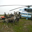  ,  -  8  2015      .