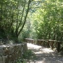 ���� Roberto, �������, 68 ��� - ��������� 3 ���� 2015 � ������ �cascata capelli di venere�