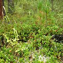 � ����� ��������!!! �� ������� ������� �����,������