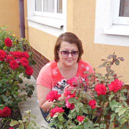 �����, �����������, 62 ����