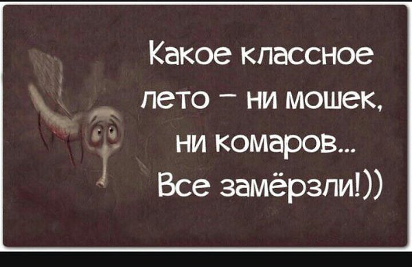  - 5  2015  17:33