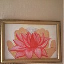 ���� �������, ��������� - ��������� 14 ������� 2015 � ������ ������ ��������