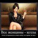 ���� �����, ���������, 41 ��� - ��������� 22 ������ 2015 � ������ ���� ����������