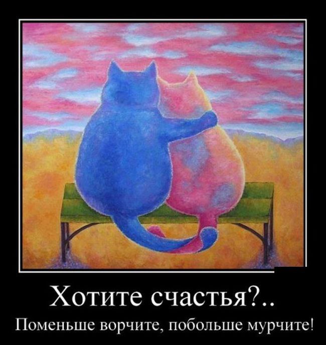 ������ - 6 ��� 2015 � 18:31