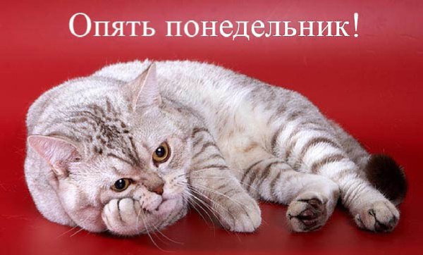Доброе утро! И снова понедельник.Говорят - это день тяжёлый. А в известной песенке даже хотели ...