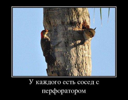 Возможно только в России - 12 сентября 2015 в 06:01