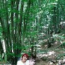 ���� ����, �����������, 59 ��� - ��������� 16 ���� 2015 � ������ ���� ����������