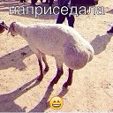 ���� �����, ����, 54 ���� - ��������� 10 ��� 2015 � ������ ������ ��������