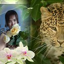 � ���� �������� ���� �� ������� ���� ����������