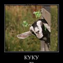 ���� �������, ��������, 61 ��� - ��������� 3 ��� 2015 � ������ �������