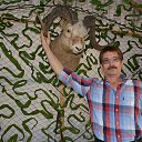  , , 62  -  16  2015   - ..  2015 .