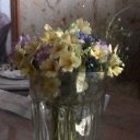 ���� �����, �����-���������, 39 ��� - ��������� 3 ��� 2015 � ������ ���� ����������