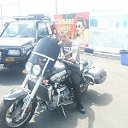 ���� ����, �����������, 37 ��� - ��������� 22 ���� 2015 � ������ ���� ����������