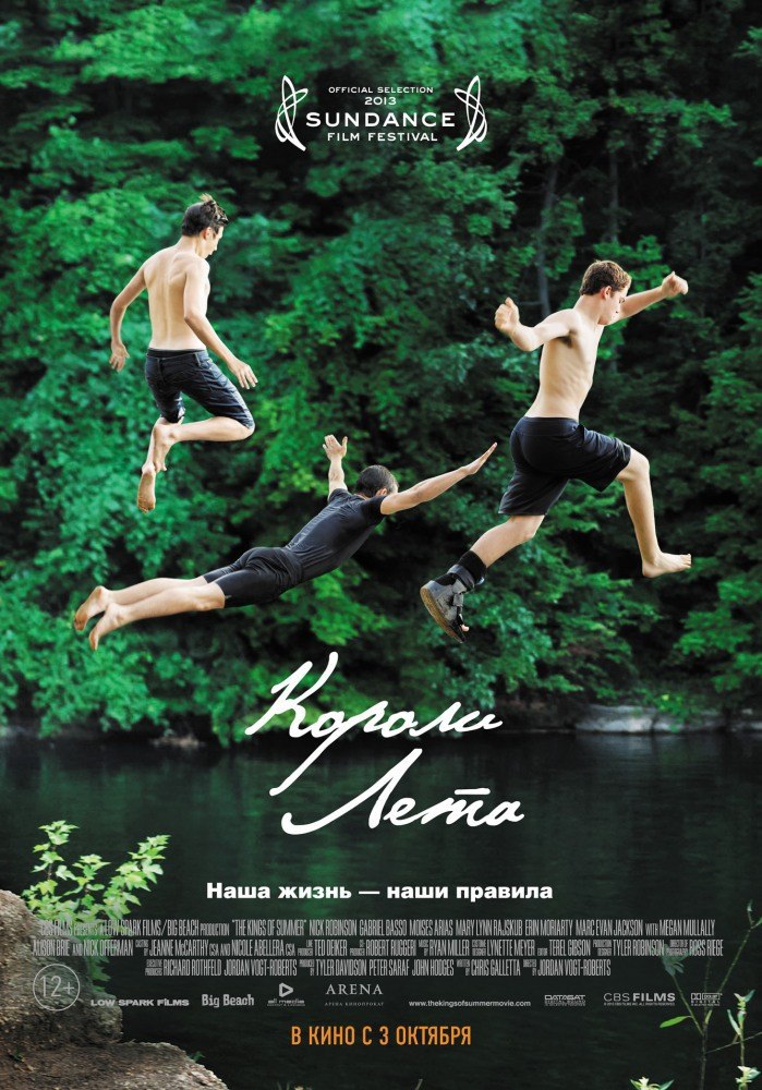 Короли лета.Год: 2013Страна: СШАРежиссер: Джордан Вогт-РобертсВ главных ролях: Ник Дж. Робинсон, ...
