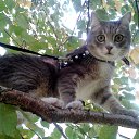  ♥♥, - -  10  2015    