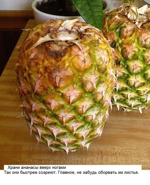 10 ������ �������� ��������, � ������� �� ����� ���� ���� ����. - 8