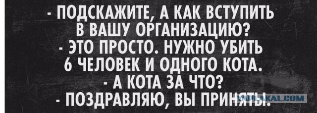 ˸�� - 19 �������� 2015 � 17:07