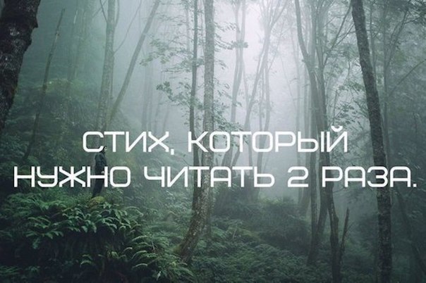 Шикарное стихотворение, которое обязательно нужно прочесть 2 раза.Почему именно два? Прочитайте до ...