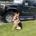 ���� ���������, �����-���������, 54 ���� - ��������� 21 ���� 2015 � ������ �����ʻ