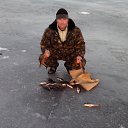 ���� ����������, �����-���������, 49 ��� - ��������� 26 ������ 2015 � ������ ���� ����������