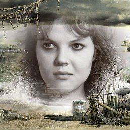 ���� �������, ��������, 67 ��� - ��������� 7 ���� 2015