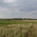  , -- -  19  2015    2015