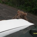 ���� ���������, ���������, 43 ���� - ��������� 21 ��� 2015