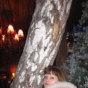 ���� ��������, �����������, 46 ��� - ��������� 5 ��� 2015 � ������ ���� ����������