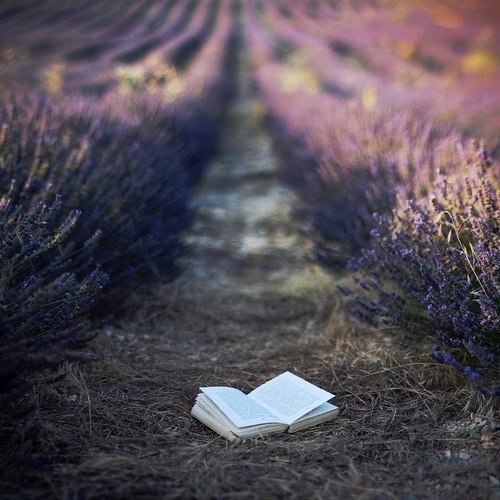    ,      ,        .   ... - 5