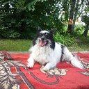 ������ ���� 2014 �� ������� ���� ����������