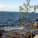 ���� �������, �����-���������, 53 ���� - ��������� 26 ������� 2015 � ������ ������ ��������