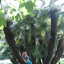 ���� �������, ������� - ��������� 21 ���� 2015 � ������ ��� 2015�