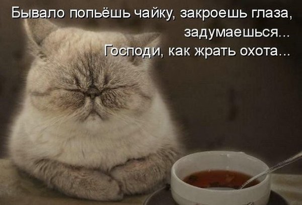   |  |  - 28  2015  12:31