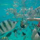 ���� ���������, ������ - ��������� 31 ������� 2015 � ������ ���������� ������