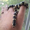 ���� ������, ������, 51 ��� - ��������� 23 ������� 2015 � ������ ��������