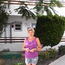 ���� �����, �����-���������, 68 ��� - ��������� 23 ���� 2015 � ������ �������� 2015�