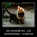 ���� ���������, ��������� - ��������� 11 ������� 2015 � ������ ������ ��������