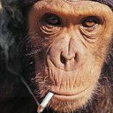 ���� �������, ��������, 58 ��� - ��������� 6 ���� 2015 � ������ ������ ��������