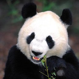 �����, ����, 56 ���