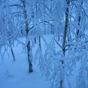  .   +15,    5.  .  . 06.05.2015. 2  45 . .       