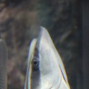 ���� ������, ������, 45 ��� - ��������� 12 ������� 2015 � ������ ���� ����������