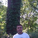  Nosir, , 49  -  12  2015