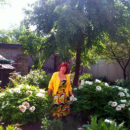 Валерия, 64, Донецк