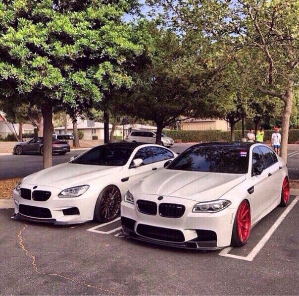 BMW M6 and BMW M5 - БМВ | BMW, №694735954 | Фотострана – cайт знакомств ...