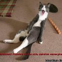 ���� Victor, ���� - ��������� 26 ���� 2015 � ������ ������ ��������