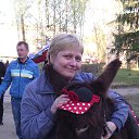 ���� ������, �����-���������, 49 ��� - ��������� 14 ��� 2015 � ������ ���� ����������