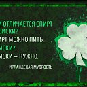 ���� ��������, ������ - ��������� 29 ������� 2015 � ������ ������������